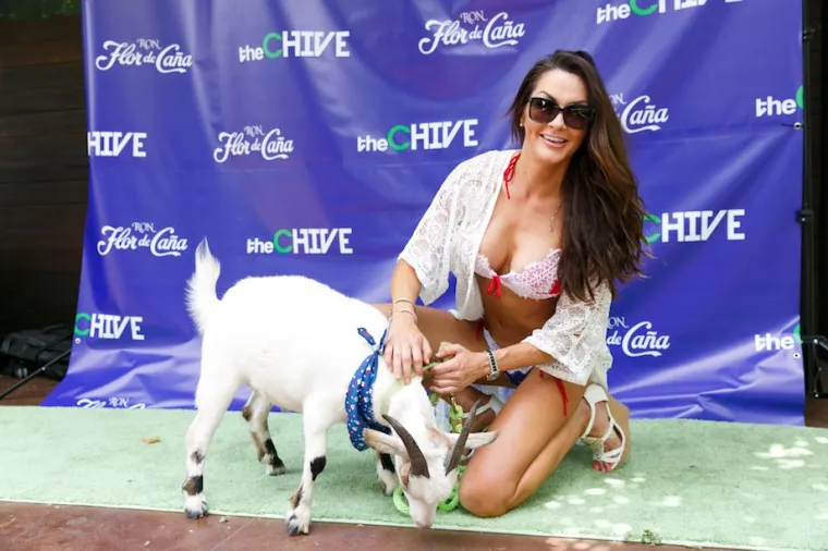 AMERIČKI SAN: Ovo je tulum na kojem želite biti, vjerujte nam...