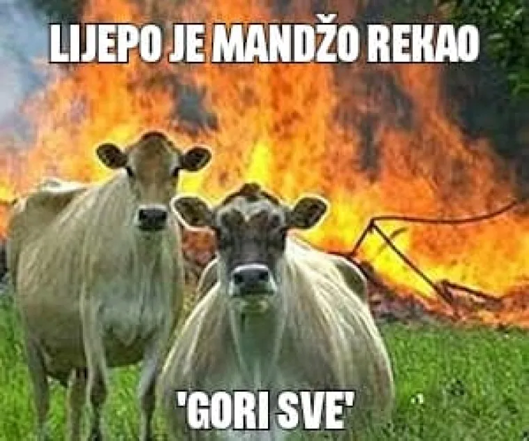 U plamenu ljubavi.
