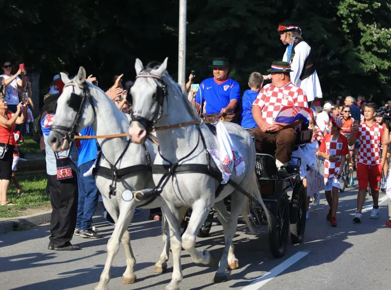 Doček Domagoja Vide