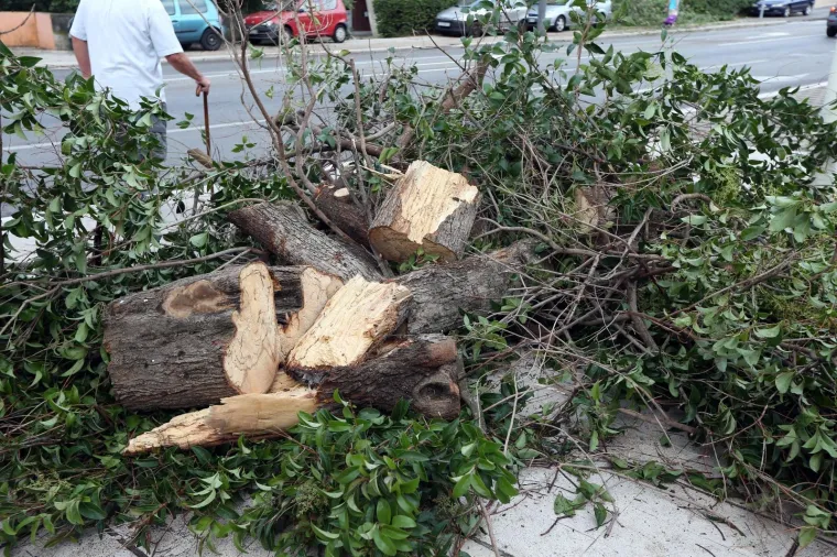 VELIKA MATERIJALNA ŠTETA NAKON OLUJE U ŠIBENIKU: Pogledajte iščupana stabla i uništene automobile na ulicama