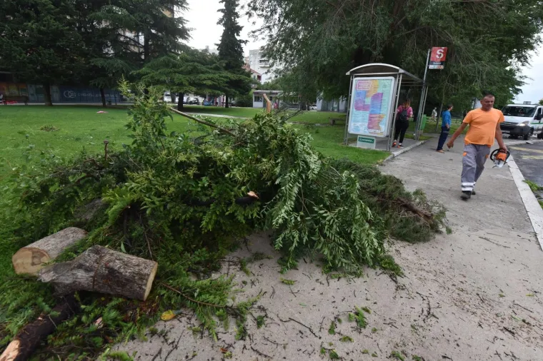 VELIKA MATERIJALNA ŠTETA NAKON OLUJE U ŠIBENIKU: Pogledajte iščupana stabla i uništene automobile na ulicama