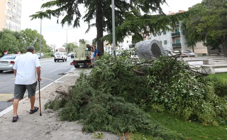 VELIKA MATERIJALNA ŠTETA NAKON OLUJE U ŠIBENIKU: Pogledajte iščupana stabla i uništene automobile na ulicama