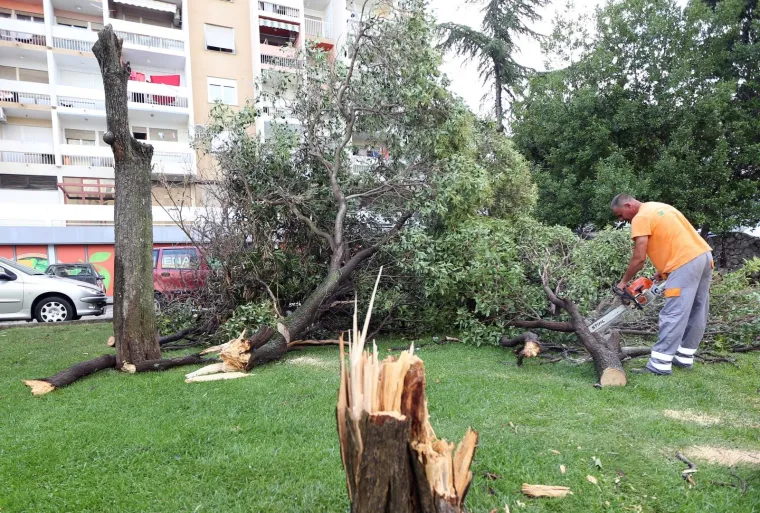 VELIKA MATERIJALNA ŠTETA NAKON OLUJE U ŠIBENIKU: Pogledajte iščupana stabla i uništene automobile na ulicama