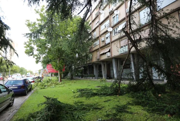 VELIKA MATERIJALNA ŠTETA NAKON OLUJE U ŠIBENIKU: Pogledajte iščupana stabla i uništene automobile na ulicama