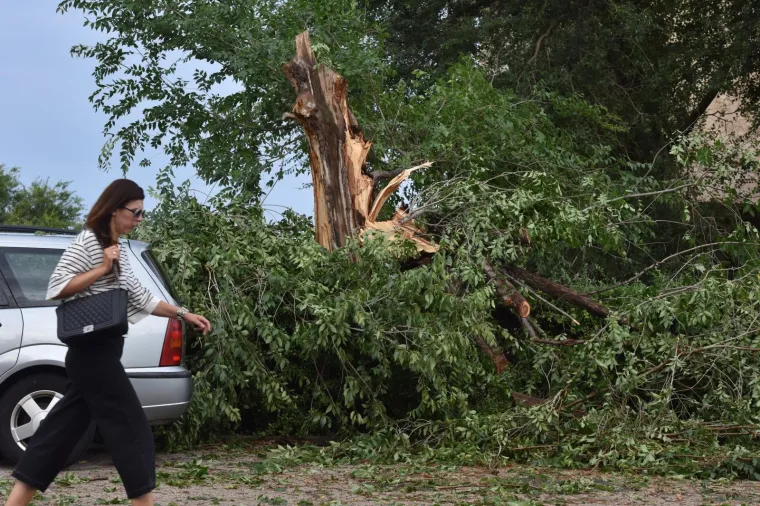 VELIKA MATERIJALNA ŠTETA NAKON OLUJE U ŠIBENIKU: Pogledajte iščupana stabla i uništene automobile na ulicama