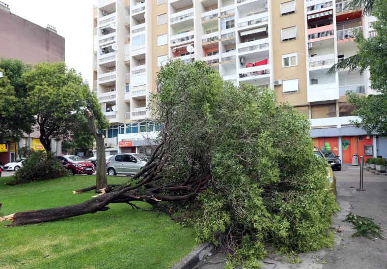 VELIKA MATERIJALNA ŠTETA NAKON OLUJE U ŠIBENIKU: Pogledajte iščupana stabla i uništene automobile na ulicama