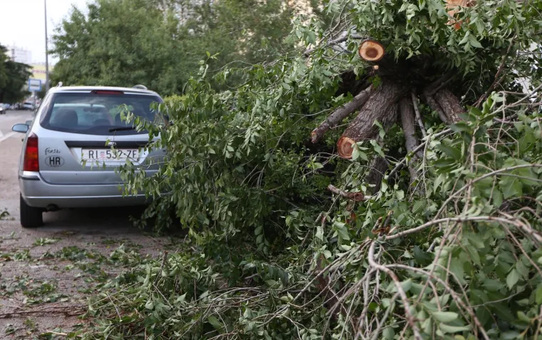VELIKA MATERIJALNA ŠTETA NAKON OLUJE U ŠIBENIKU: Pogledajte iščupana stabla i uništene automobile na ulicama