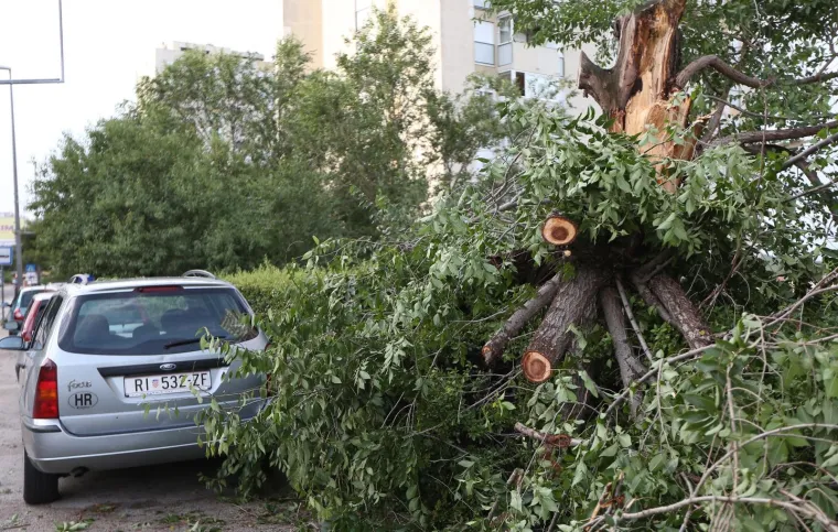 VELIKA MATERIJALNA &Scaron;TETA NAKON OLUJE U &Scaron;IBENIKU: Pogledajte i&scaron;čupana stabla i uni&scaron;tene automobile na ulicama