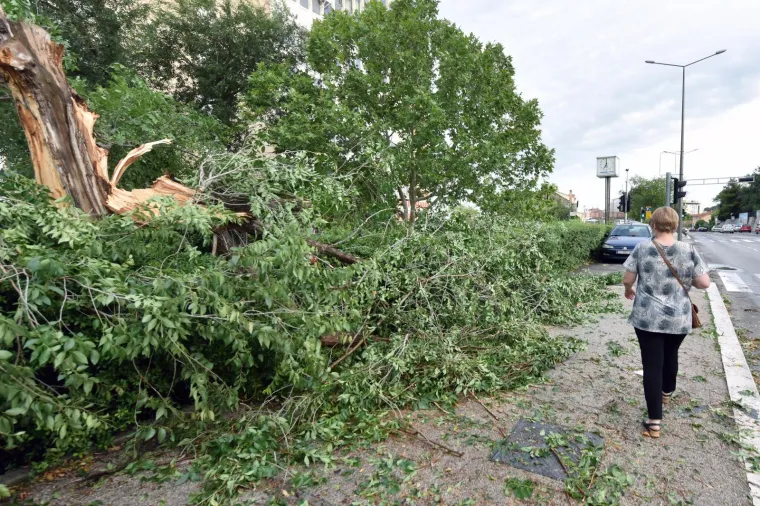 VELIKA MATERIJALNA &Scaron;TETA NAKON OLUJE U &Scaron;IBENIKU: Pogledajte i&scaron;čupana stabla i uni&scaron;tene automobile na ulicama