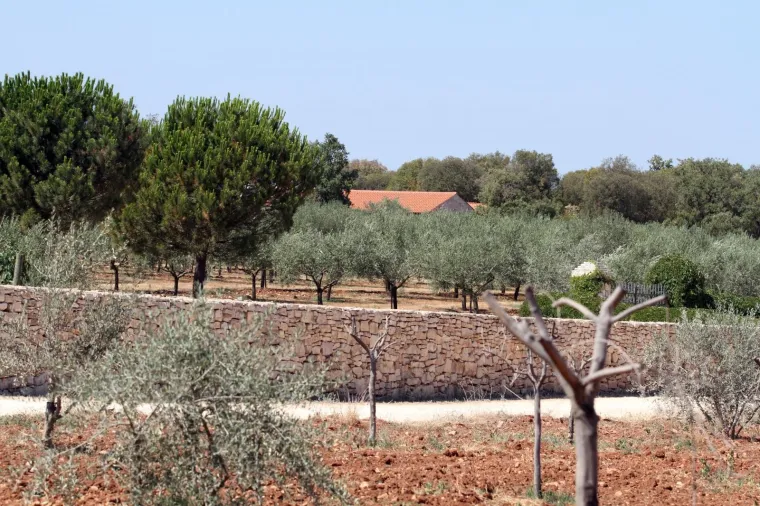 OVDJE ĆE SE VJENČATI FRANKA I ĆORLUKA: Bacite pogled na bajkovito imanje koje je osvojilo i Severinu