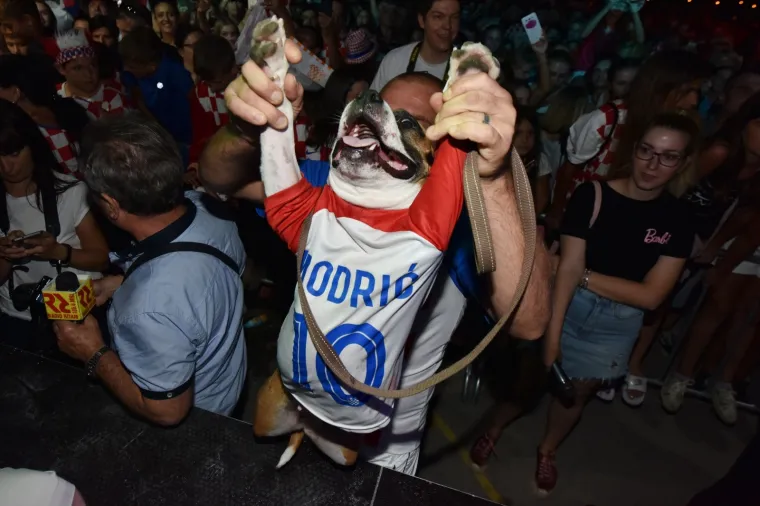 SPEKTAKULARNI DOČEK ĆALETE-CARA: Bilice napravile fe&scaron;tu za svog srebrnog Vatrenog