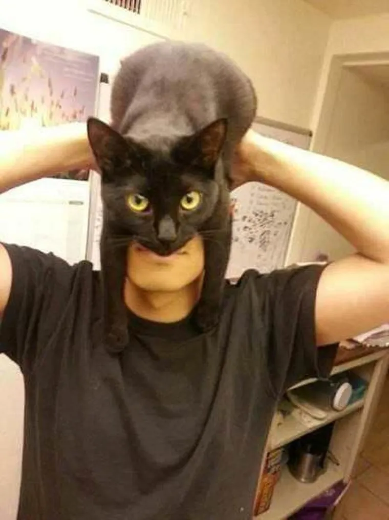 Ako niste skužili - Batman!