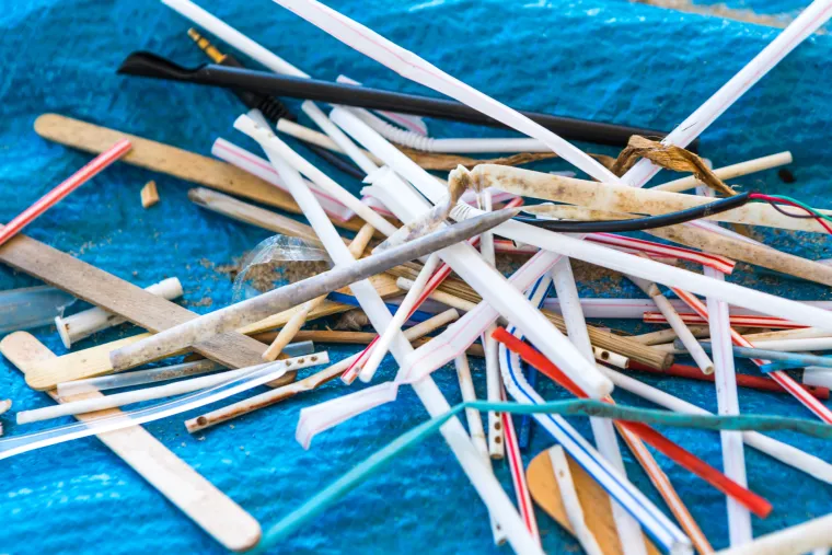 Zbog ovih 15 činjenica zamrzit ćete ljudski rod jo&scaron; vi&scaron;e