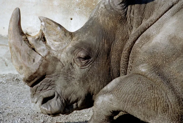 Zbog ovih 15 činjenica zamrzit ćete ljudski rod jo&scaron; vi&scaron;e