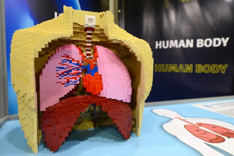 Međunarodne izložbe modela od Lego kocaka dolazi u Zagreb