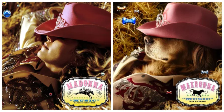 Upoznajte Maxdonnu: Madonnu u psećoj verziji koja vjerodostojno pokazuje karijeru pjevačice