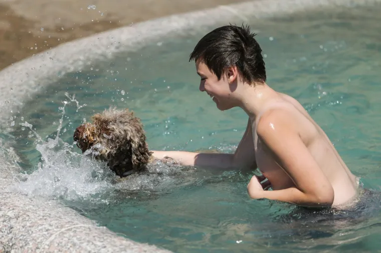 OVAKO IZGLEDA ČISTA RADOST: Dvojica dječaka i pas predah od vrućina potražili u Mandu&scaron;evcu