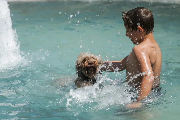 Photo: Filip Kos/PIXSELL