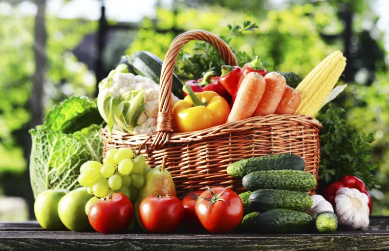 Do&scaron;ao je toplinski val: evo kako se možete rashladiti kad krenu vrućine