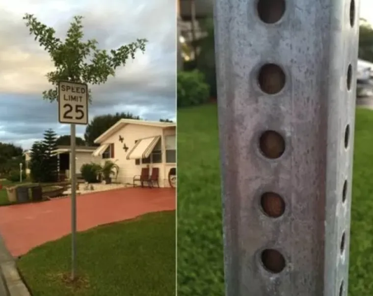 SLATKA OSVETA DRVEĆA: 'Samo vi brusite sjekire, vidjet ćemo tko se zadnji smije...'