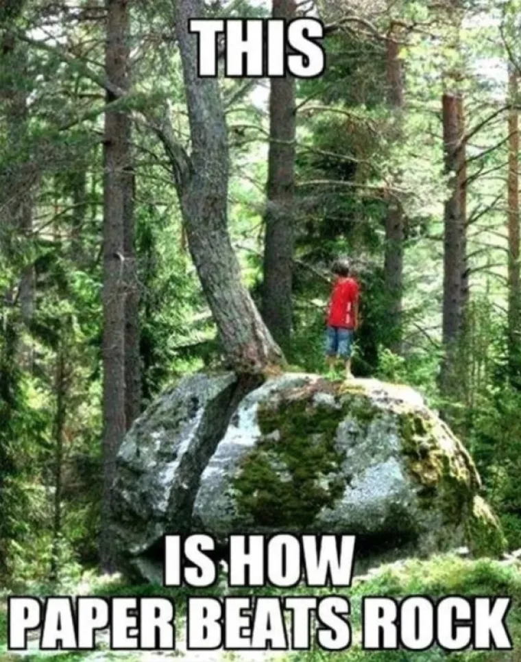 SLATKA OSVETA DRVEĆA: 'Samo vi brusite sjekire, vidjet ćemo tko se zadnji smije...'