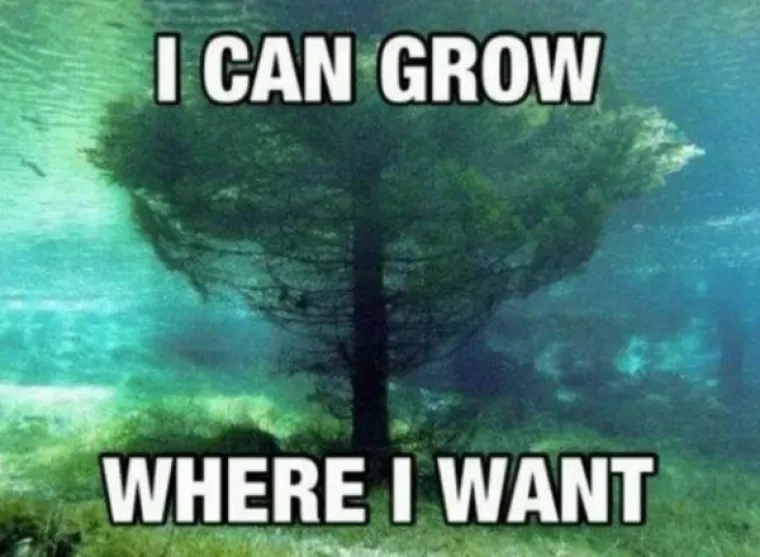 SLATKA OSVETA DRVEĆA: 'Samo vi brusite sjekire, vidjet ćemo tko se zadnji smije...'