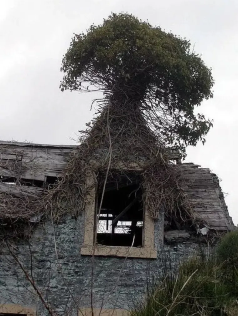 SLATKA OSVETA DRVEĆA: 'Samo vi brusite sjekire, vidjet ćemo tko se zadnji smije...'