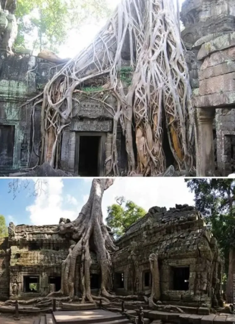 SLATKA OSVETA DRVEĆA: 'Samo vi brusite sjekire, vidjet ćemo tko se zadnji smije...'