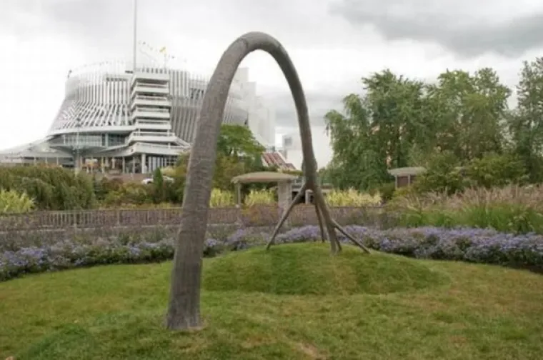 SLATKA OSVETA DRVEĆA: 'Samo vi brusite sjekire, vidjet ćemo tko se zadnji smije...'