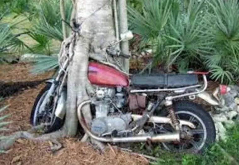 SLATKA OSVETA DRVEĆA: 'Samo vi brusite sjekire, vidjet ćemo tko se zadnji smije...'