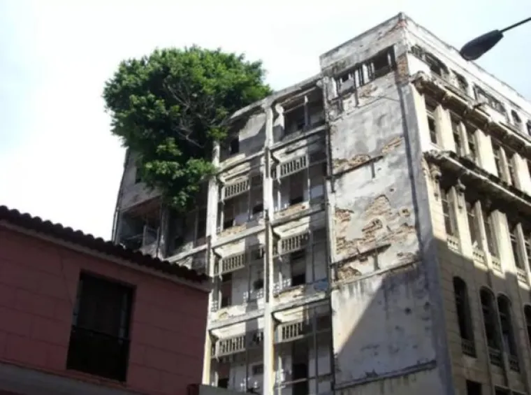 SLATKA OSVETA DRVEĆA: 'Samo vi brusite sjekire, vidjet ćemo tko se zadnji smije...'