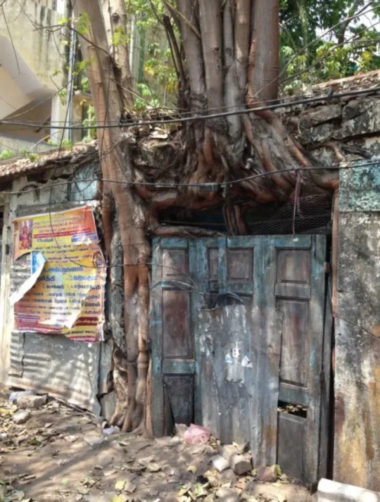 SLATKA OSVETA DRVEĆA: 'Samo vi brusite sjekire, vidjet ćemo tko se zadnji smije...'