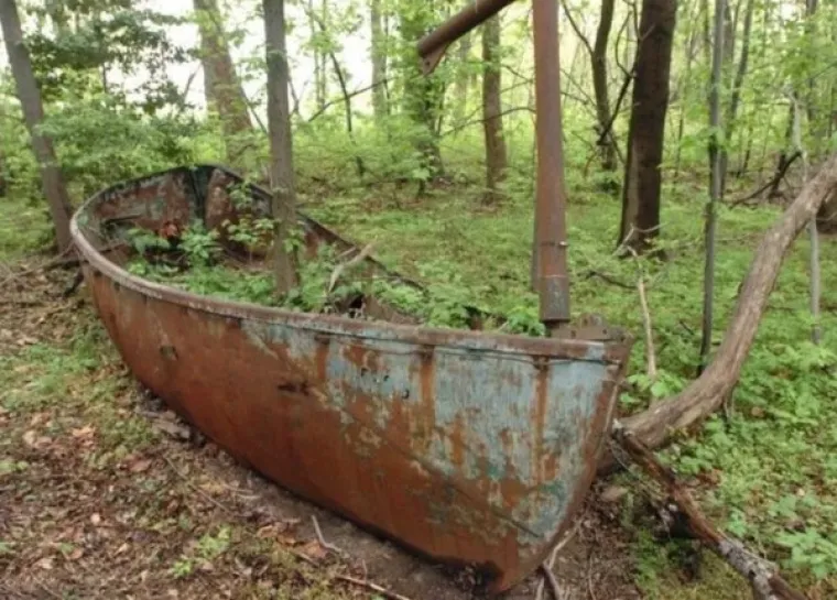 SLATKA OSVETA DRVEĆA: 'Samo vi brusite sjekire, vidjet ćemo tko se zadnji smije...'