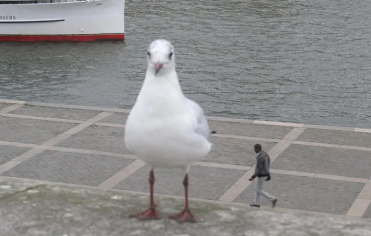 Slučajne fotke koje su ispale pravi dragulji - na na&scaron;u sreću
