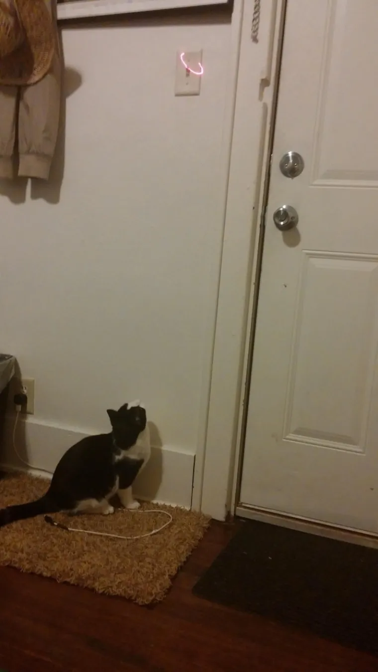 Lijenost ili kreativnost? Granica je tanka, a 'lijeni izumi' urnebesni