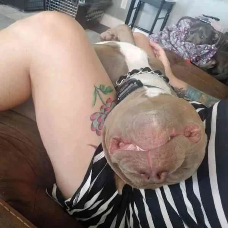 PONA&Scaron;AJU SE KAO LJUDI: Urnebesne životinje ostavile su svoje vlasnike bez teksta