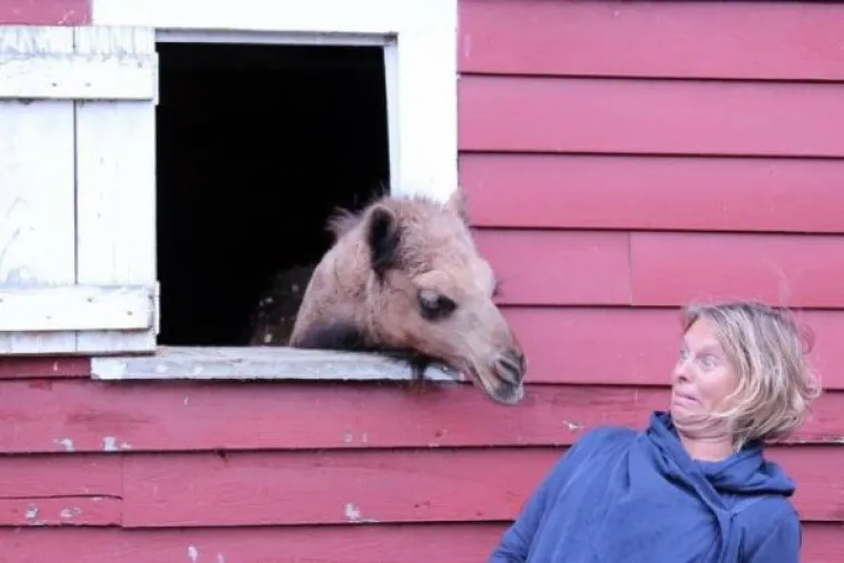 PONA&Scaron;AJU SE KAO LJUDI: Urnebesne životinje ostavile su svoje vlasnike bez teksta