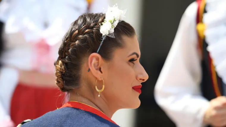 Vojvodin prijem u Alkarskim dvorima