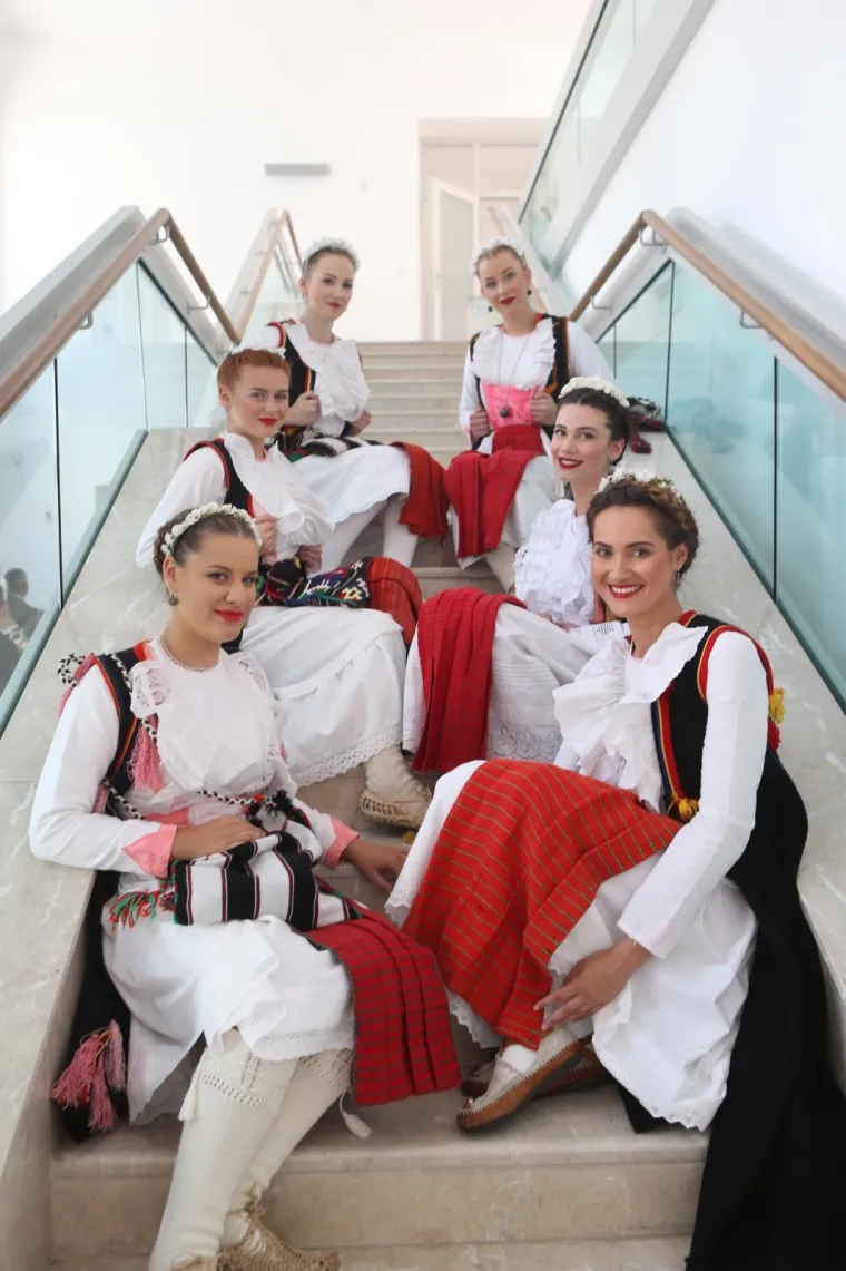 Vojvodin prijem u Alkarskim dvorima