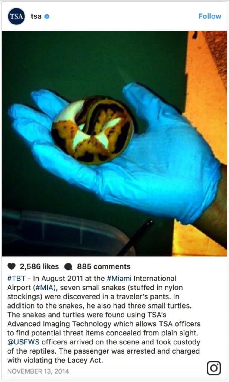 &Scaron;TO SVE POKU&Scaron;AVAJU PROKRIJUMČARITI U AVION... Ljudi stvarno nemaju granicu, a ovo su njihove najbizarnije ideje