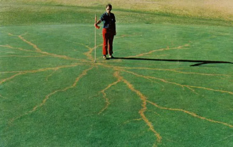 EVO KAKO IZGLEDA KAD VAS UDARI GROM: Ako ne znate &scaron;to su Lichtenbergove figure, možda bolje da tako i ostane