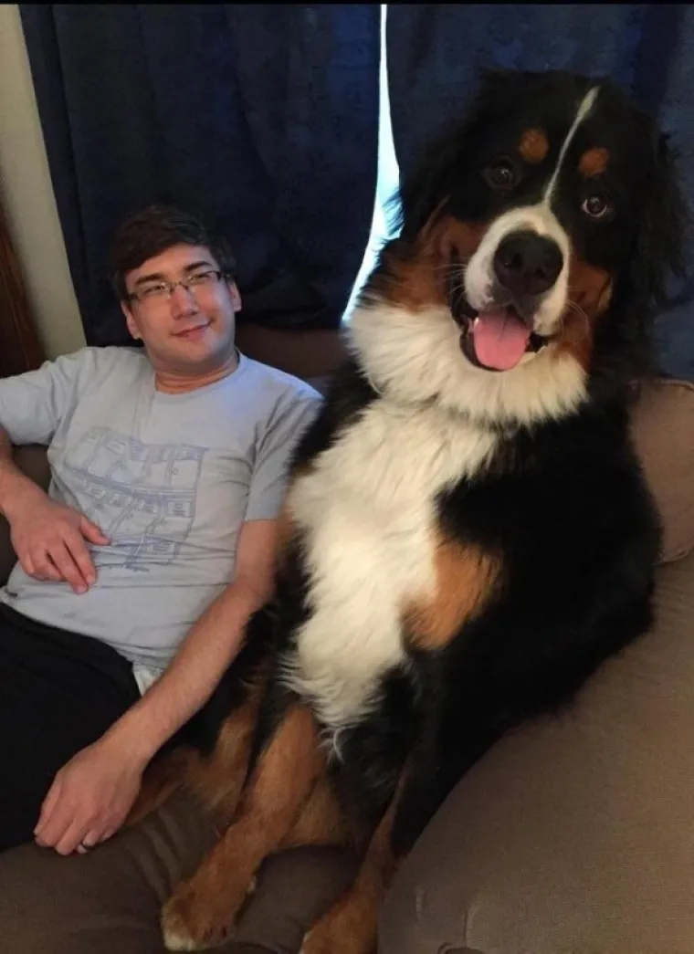 JESU LI OVO NAJDEBLJE ŽIVOTINJE NA SVIJETU? Njih nije briga kako će izgledati na plaži