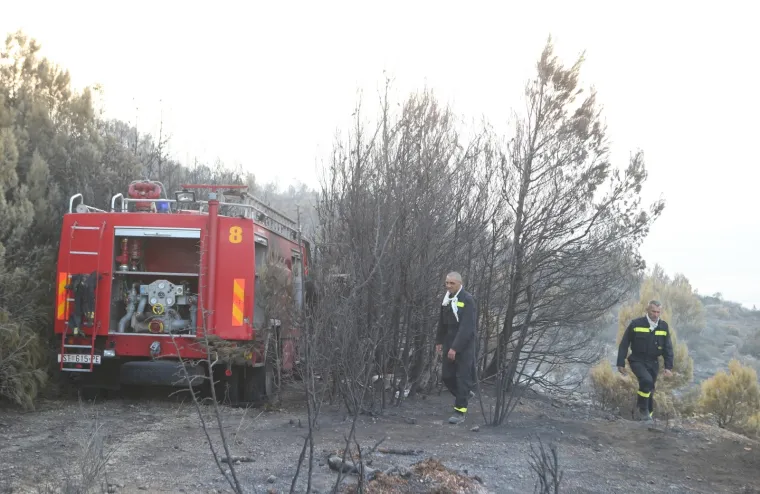 Vatrogasci probdjeli cijelu noć na požari&scaron;tu kod Lokve Rogoznice
