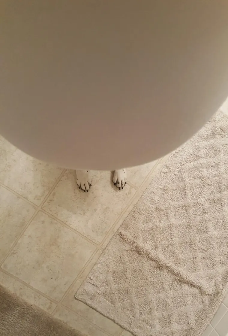 Ovi ljubavni parovi dobro znaju kako uspje&scaron;no nasmijati svog partnera