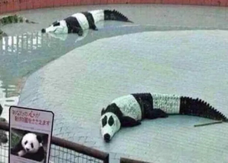 INTERNET JE LEGLO NAKARADNIH PRIZORA: Nitko ih ne bi trebao vidjeti, ali ljudska znatiželja je ipak prejaka