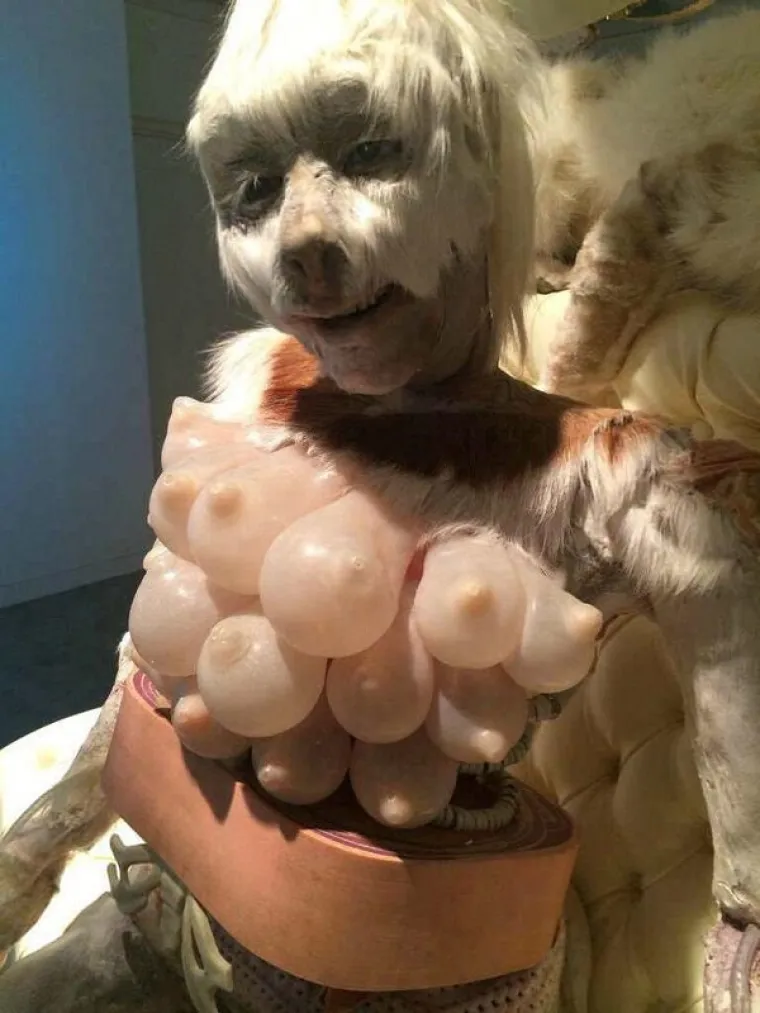 INTERNET JE LEGLO NAKARADNIH PRIZORA: Nitko ih ne bi trebao vidjeti, ali ljudska znatiželja je ipak prejaka