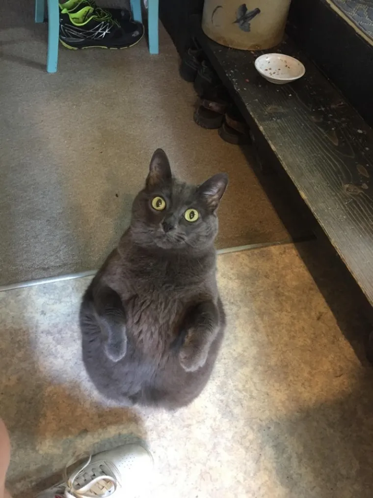 Fotke koje dokazuju da ponekad stvarno ne možemo vjerovati svojim očima