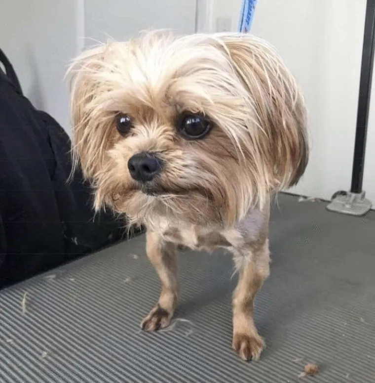 Fotke koje dokazuju da ponekad stvarno ne možemo vjerovati svojim očima