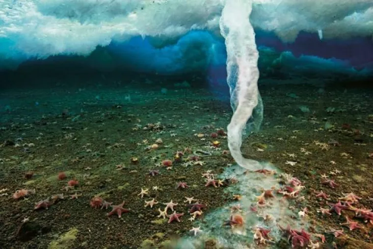 Podmorska siga, slani stalaktit ili brinacle nastaje kada se morska voda na povr&scaron;ini smrzava, zbog čega se izdvaja sol pa se iz leda, kako je znatno teža, spu&scaron;ta iznimno slana, pothlađena voda. Zbog velike koncentracije soli ima znatno niže ledi&scaron;te no kada dođe u doticaj s okolnom morskom vodom, na povr&scaron;ini struje se trenutno stvara led.