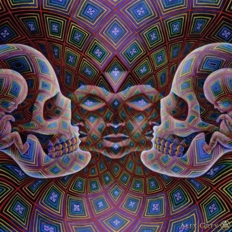 ON SE DROGIRA DA VI NE MORATE: Bilježi svoja iskustva na tripu i 'beskonačnu ljubav i jedinstvo'